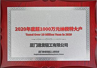 2020年纳税特大户