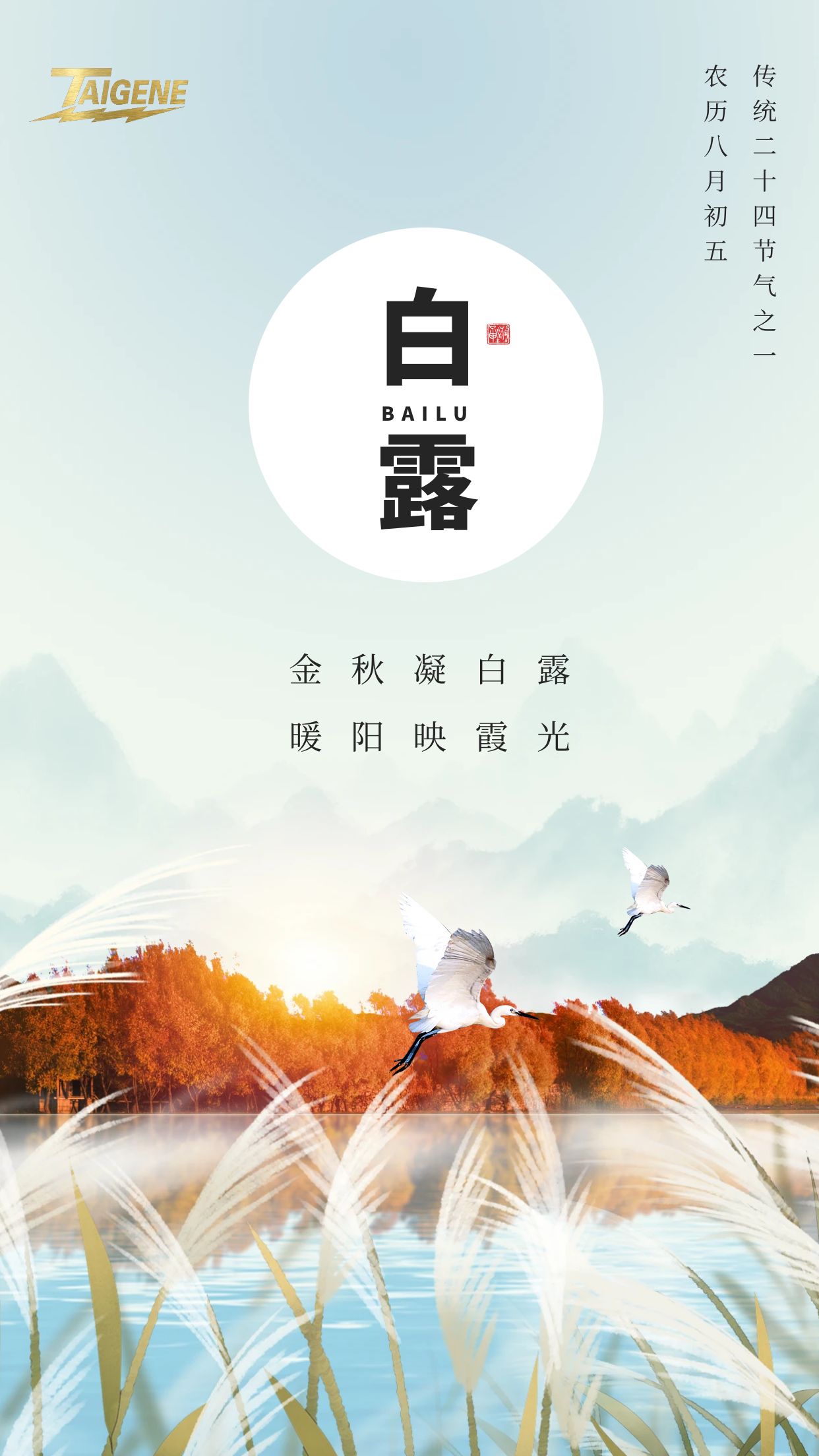 ����֮��hy590(�й�)���¹ٷ���վ