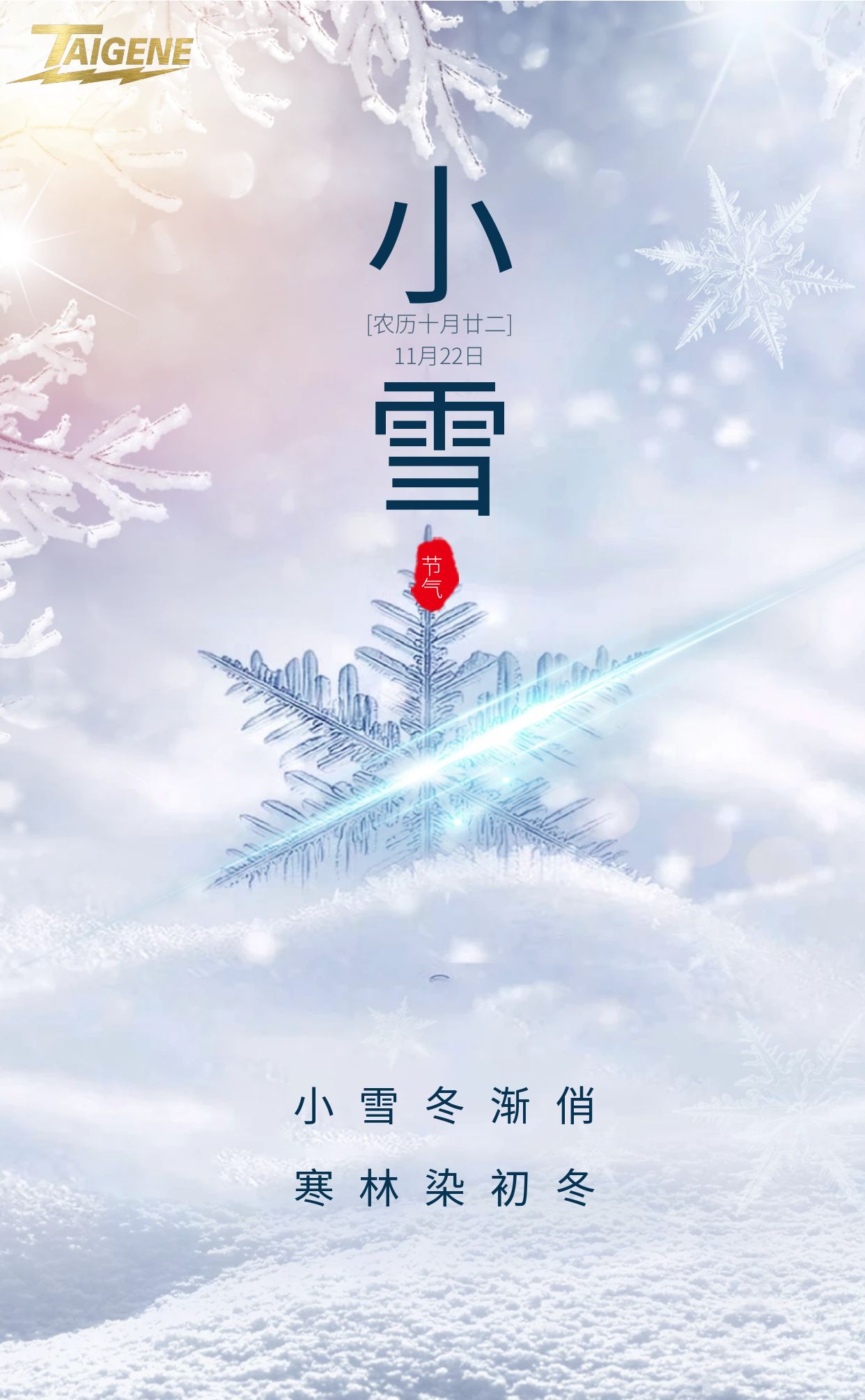 ����֮��hy590(�й�)���¹ٷ���վ